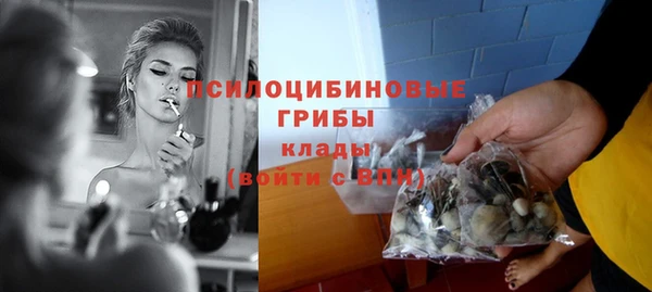 PSILOCYBIN Зерноград