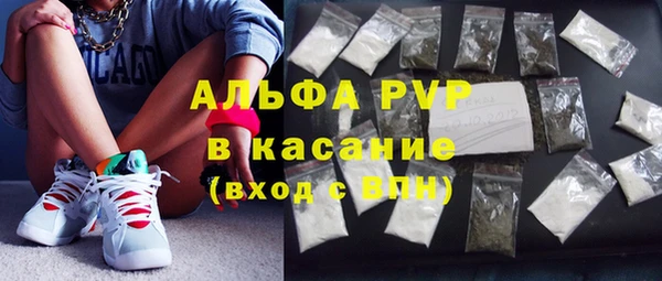 PSILOCYBIN Зерноград