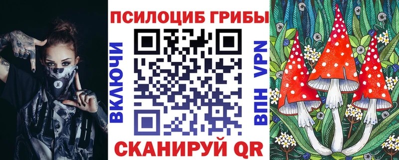 Псилоцибиновые грибы Cubensis  Купить закладки  Шумиха 